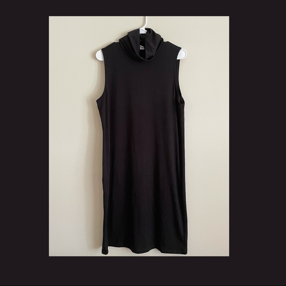 Turtle Neck Dress